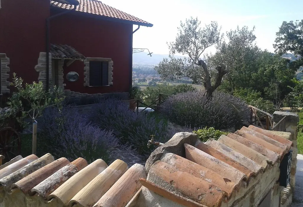 B&B Fonte Cugno-1