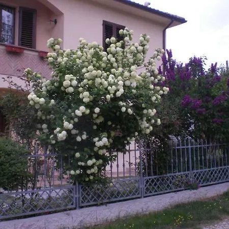 Il Castellare-3